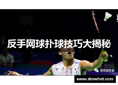 反手网球扑球技巧大揭秘