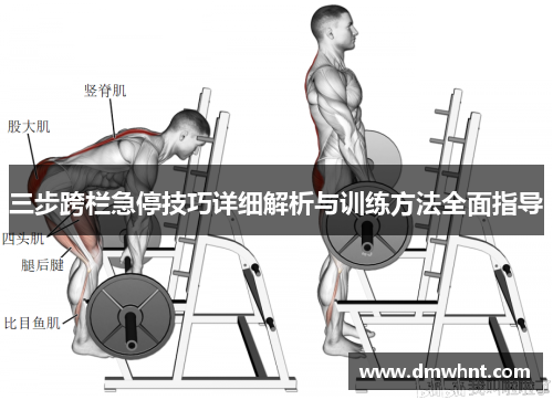 三步跨栏急停技巧详细解析与训练方法全面指导