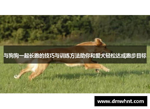 与狗狗一起长跑的技巧与训练方法助你和爱犬轻松达成跑步目标